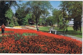 Ontario Postcard Ottawa Tulip Gardens - £1.70 GBP