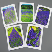 LAVENDER FIELDS Photo Cards, 5X7 cards, purple floral, set of 5 - £10.82 GBP