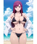 Fairy Tail - Erza Scarlet (Bikini) - 4 x 6 Inches Art Print Photograph - $9.49 CAD