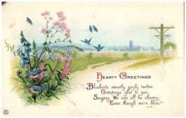 1924 Postcard Hearty Greetings Bluebirds Singing Among Pink Flowers RPO Cancel - £4.64 GBP