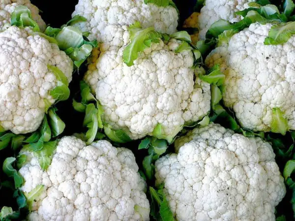 250 Snowball Selfblanching Cauliflower White Brassica Oleracea Vegetable Seeds F - £7.96 GBP
