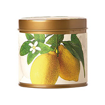 Rosy Rings Citrus Lemon Blossom &amp; Lychee Soy Tin Candle 8oz - £19.50 GBP