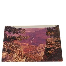 Postcard The Colorado River And Grand Canyon Arizona Wheeler Point Chrome - £5.33 GBP