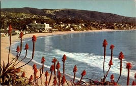 Laguna Beach California Heisler Park Flowers City Mountain USA Vintage Postcard - £5.44 GBP