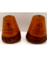 New Mexico Souvenir Salt and Pepper Shaker Set Natives Vintage - £8.27 GBP