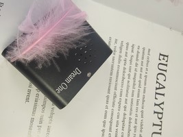 Dream One Portable media players,Versatile Compatibility image 4