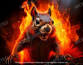 Digital Art - squirrel - 017 - Digital Download - $0.99