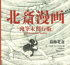 Hokusai Manga texture not yet published large book 2017 Japan - £48.67 GBP