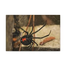 Majestic Black Widow Art Majestic Black Widow Hound Print Animal Wall Art Wildl - £56.05 GBP+