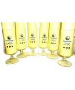 6 Hochrein Brau +1980 Kaltenhausen Pils German Beer Glasses - $47.17 CAD