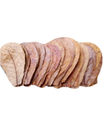 100Pcs Indian Almond Leaves size 5&#39;&#39; Catappa Ketapang for Fish, Shrimp, ... - $14.95