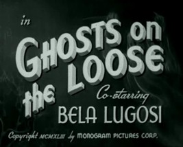 Ghost on the Loose on DVD - €6,94 EUR