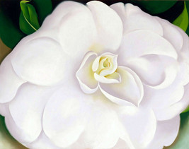 Camellia white flower 1938 georgia o&#39;keeffe ceramic tile mural backsplash - £47.47 GBP+