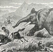 Abyssinian Elephant Hunters Charge 1887 Wood Engraving Victorian Art DWEE34 - £19.91 GBP