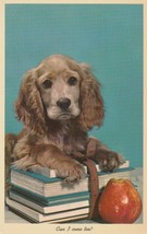 Vintage Postcard Cocker Spaniel Dog School Books Apple Unused Blue Background - £5.52 GBP