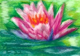 Original Oil Pastel Painting ACEO Waterlily Flower Floral Miniature Art ATC - £15.87 GBP