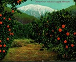 Snow Capped Mountain &amp; Orange Grove California CA Unused UNP Postcard E7 - £4.63 GBP