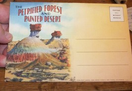 1929 Linen Pc Postcard Petrified Forest Painted Desert Navajo Arapaho Arizona Az - £23.47 GBP