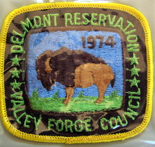 BOY SCOUT 1974 Delmont Reservation  Valley Forge Council  - $6.89
