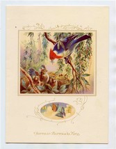 Furness Bermuda Line Queen of Bermuda Dinner Menu 1956 Birds &amp; Butterflies Cover - £14.01 GBP