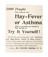 Dr Hayes Hay Fever Buffalo 1897 Advertisement Victorian Quack Medicine A... - $372.45 MXN