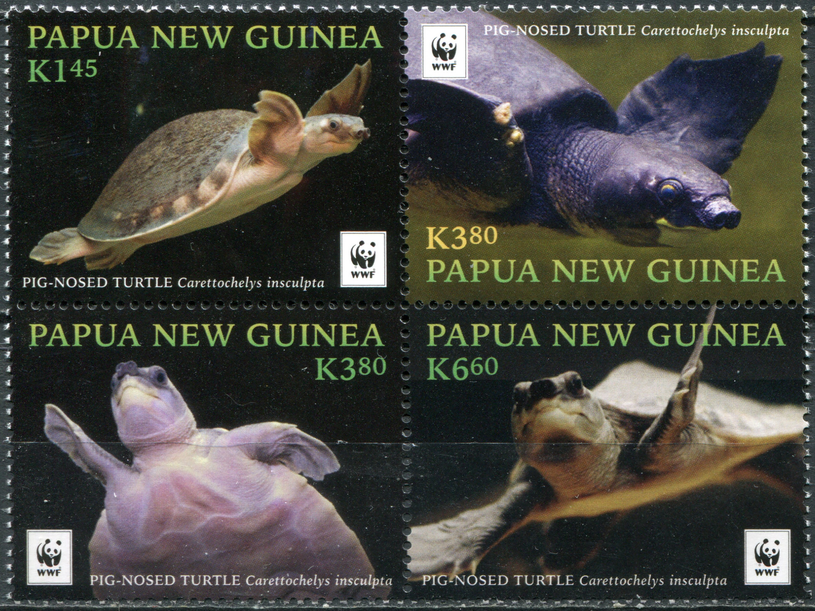 Primary image for Papua New Guinea 2016. Pig-nosed Turtle (MNH OG) Block of 4 stamps