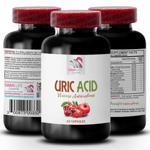 Cranberry Boost - URIC ACID COMPLEX - Natural Balance 1 Bottle 60 Capsules - $17.96