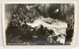 Sea Lion Caves Oregon Rppc Postcard Interior Highway 101 Sawyer Scenic Vintage - £7.78 GBP