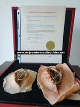 Van Helsing TV Show Original Screen Used Vampire Sam Elder Pods Movie Prop - $6,264.52 MXN