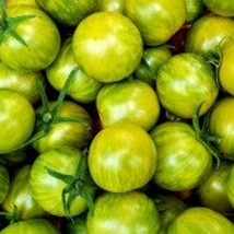 Green Bumble Bee Tomato Seeds Organic New Fresh Seeds - $3.96