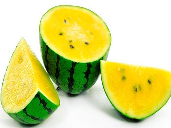 Small Yellow Watermelon Sweet Fruit, 8 Seeds