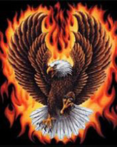 Flaming eagle cross stitch pattern thumb200