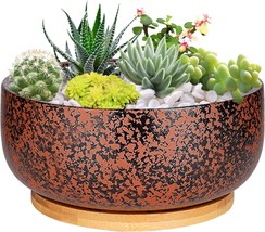 G Epgardening 8 Inch Terracotta Succulent Planter Pot With Drainage Hole Round - £31.13 GBP