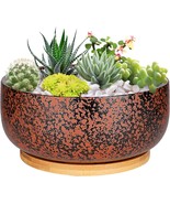 G Epgardening 8 Inch Terracotta Succulent Planter Pot With Drainage Hole... - £31.29 GBP