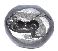 Rare Yoga Narasimha Shaligram - Gandaki River Nepal - $113.84