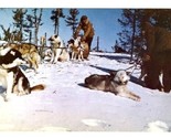 Hudson Bay Company Sled Dogs Souvenir of the Bay Canada Postcard - £8.56 GBP