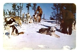 Hudson Bay Company Sled Dogs Souvenir of the Bay Canada Postcard - £8.53 GBP