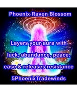 Phoenix Raven Blossom© Divine Energy Healing Distance Reiki from AthenaAine - £118.52 GBP