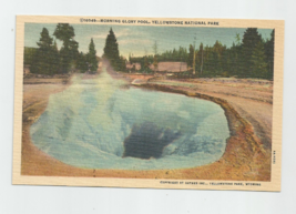 Yellowstone National Park,MORNING GLORY POOL Postcard-Haynes #16049,1940&#39;s - £3.86 GBP