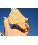 JTL  URANIUM ROCK   8.9 OZ  41,200 CPM   JURASSIC CANYON NM  $37.00 +$12... - $37.00