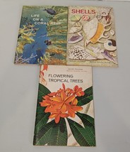 Lot Of 3 National Audubon Society Nature Program Series Shells Coral Tropical - £11.21 GBP