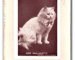 Adorable White Fluffy Cat With Bow Her Majesty 1910 DB Postcard Q19 - $7.87
