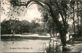 Vtg Cartolina 1908 Douglas Park Chicago Cartolina - £4.81 GBP