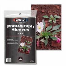1 pack of 100 BCW 6" x 9" Photo Sleeves - $12.59