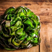 Lettuce Bronze Mignonette 50 Vegetable Seeds Butterhead Lettuce Fresh Seeds From - £11.42 GBP