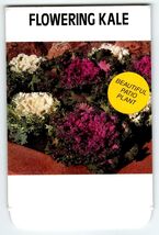 Flowing Kale Patio Plant Seed  Packet EMPTY Envelope Vintage 1986 Never ... - $8.90