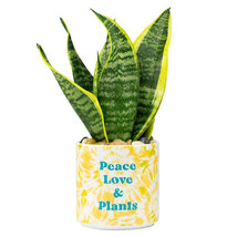 Tie Dye Planter (Medium) - PeaceLovePlants - £29.28 GBP