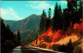 Stevens Pass Highway In Autumn Washington WA UNP Chrome Postcard - £3.08 GBP