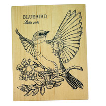 PSX Bluebird On Berry Tree Branch Sialia Sialis K-1312 Rubber Stamp Vintage 1994 - £32.69 GBP