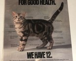 1994 9 Lives For Cats Vintage Print Ad Advertisement pa16 - $6.92